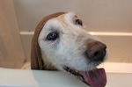 s-IMG_0234.jpg