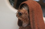 s-IMG_9060.jpg